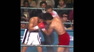 Roberto Duran vs Pipino Cuevas  1080p 60FPS  Highlights [upl. by Adnalro]