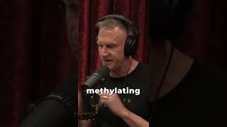 Everyone Should Take A Methylated Multivitamin with Gary Brecka and Joe Rogan [upl. by Raynor]