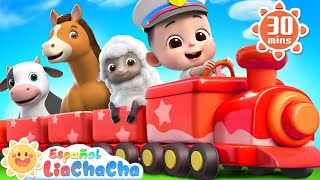 Animales en el Chu Chu Tren  Sonidos de Animales  LiaChaCha en Español  Canciones Infantiles [upl. by Gereld]