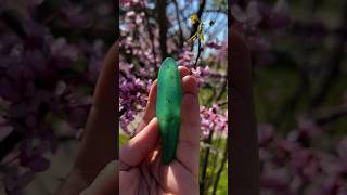 Chrysoprase Spiritual Meanings  Crystal for Compassion amp Mother Earth 🔮🌎 [upl. by Paz163]