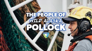 The People of Wild Alaska Pollock Trailer [upl. by Cheslie]