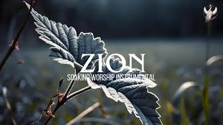 Zion  Soaking Worship Instrumental  Prayer and Devotional [upl. by Eerahc]