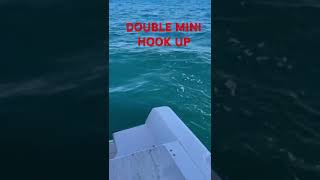 Double mini rod hook up fishing fish [upl. by Aicekan162]