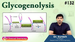 132 Glycogenolysis [upl. by Atteras]