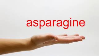 How to Pronounce asparagine  American English [upl. by Arodaeht]