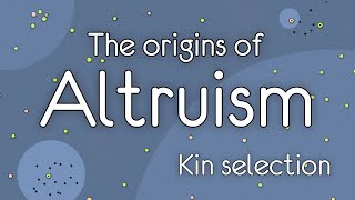 The Origins of Altruism Kin selection [upl. by Wallie526]