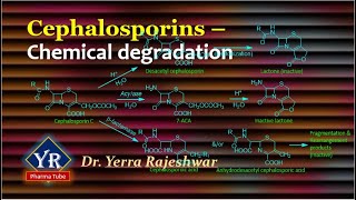 Cephalosporins  Chemical degradation  Chemical degradation of Cephalosporins  YR Pharma Tube [upl. by Notfa]