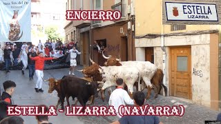 Encierro EstellaLizarra Navarra Mayo 2024 [upl. by Nigem]