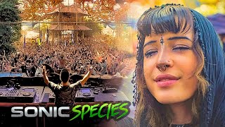 Sonic Species  Ozora Festival 2024 Full Set Movie [upl. by Reinhart]