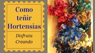 Teñido de hortensias [upl. by Iaras]