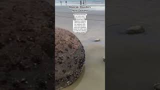 Moeraki Boulders newzealand mysteryunveiled [upl. by Ruvolo]