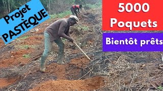 projet dun hectare de pastèque suite  tout sur les poquets [upl. by Ibrab]