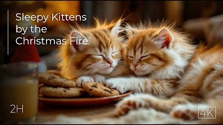 Sleepy Kittens amp Christmas Cheer 2 Hours of Calming Holiday Music  ASMR [upl. by Rosco]