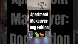 Watch Me Upgrade My Dogs quotApartmentquot Space 🏡🐕 [upl. by Isidro]