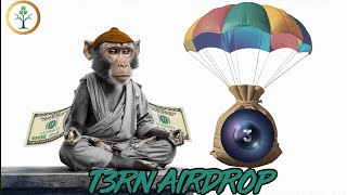 T3rn Airdrop Incentivized Testnet BRN Token Airdrop Confirm  Crypto Sprout HQ [upl. by Toffic]