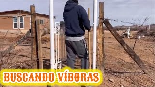 31🛑BUSCANDO VIBORAS en EL RANCHO🐍SIN VIBORERAS 🌵trajimos material [upl. by Yvan]