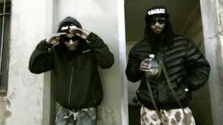 Hieroglyphics  Gun Fever Official Music Video [upl. by Anwaf]