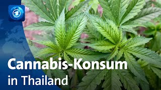 CannabisKonsum in Thailand Ernüchterung nach Legalisierung [upl. by Publias]