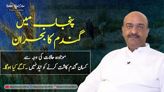 Wheat crisis in Punjab  Nadeem Afzal Chan [upl. by Tai]