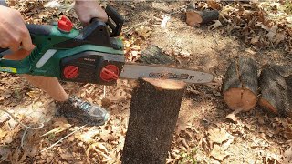 Parkside Electric Chainsaw PKS 2200 A1 Cutting Trees [upl. by Aiyn]