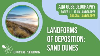 Landforms of Deposition Sand Dunes  AQA GCSE Geography  Coastal Landscapes 8 [upl. by Pardoes]