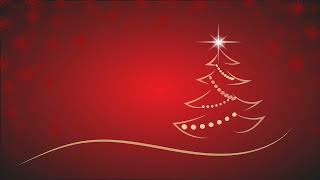 1 Hour of Ambient Christmas Hymns [upl. by Charpentier779]