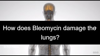 How does Bleomycin damage the lungs [upl. by Haliled46]