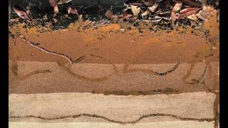 Bioturbation  Worms at Work [upl. by Tiras]