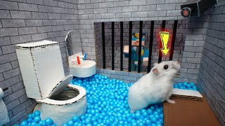 Hamster Escapes Prison Maze 🐹 Best of Hamster Adventures pets in real life 🛑Live Stream [upl. by Talbott]