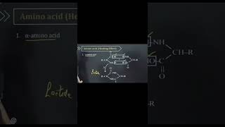 Classification of amino acids General structureSignificanceReactions biochemistry yt fyp [upl. by Camala]