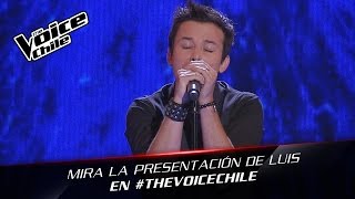 The Voice Chile  Luis Pedraza  Wrecking Ball [upl. by Atirihs]