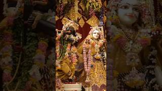 Lord has arrived  SRI GAURA RADHA VALLABHA in Iskcon bhopal [upl. by Mann236]