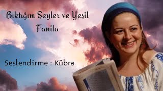 Bıktığım Şeyler ve Yeşil Fanila  Didem Madak [upl. by Atiekan]