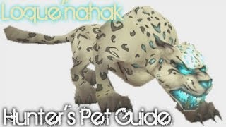 LoqueNahak  WoW Rare Hunters Pet Guide [upl. by Aratak]