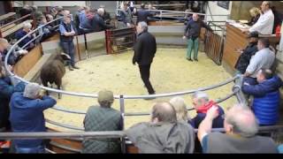 Bentham Auction Mart 29th May 2019 [upl. by Louls]