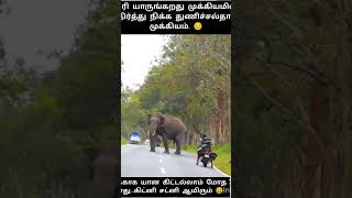 elephant crossing the road 🐘🐘🐘🐘 song வேங்கை மகன் tamilshorts [upl. by Blane834]