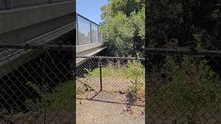 Wildcat Creek And Trail North Richmond California 😎 shorts [upl. by Schwartz]