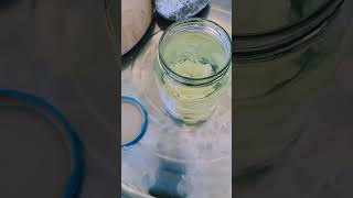 Naphthalene mothballs in petrol asmr mothballs petrol [upl. by Pussej760]