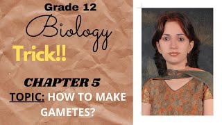 How to make gametes by Forked Line Method I Principles of Inh and Variation I Ch 5 I Class 12 [upl. by Charters]