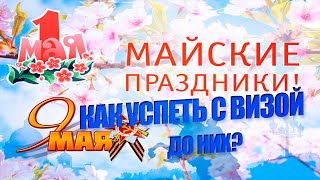 Запись в визовые центры есть ли сложности [upl. by Virgie988]