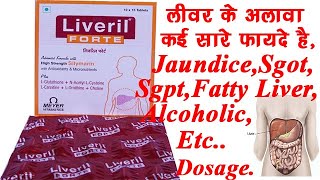 Liveril Forte Tablet BenefitsDosageSide Effects Liver Tonic  Meyer🔥🔥 [upl. by Alban]