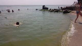 The sea  relax and swim in the warm Sea of ​​Azov  Красоты Азовского моря [upl. by Fionnula]