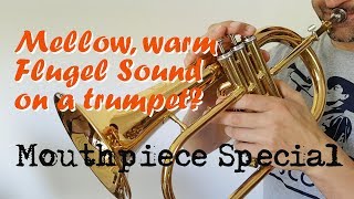 TrumpetScout TechnikCheck Mundstück mit FlügelhornKessel [upl. by Divad]