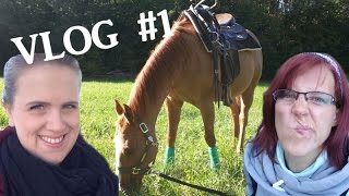 VLog Das Liaperiment  das erste Mal halftern reiten ausreiten und Äpfel klauen  Serenity [upl. by Ashwin]