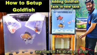 How to Setup Goldfish Tank Adding Goldfish in New tank Setup [upl. by Ecilahc127]