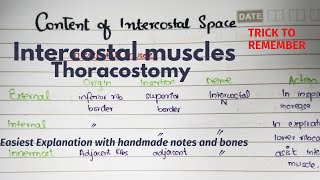 Intercostal Space  Contents  Muscles  Clinicals  Thoracostomy  Part 1 Easiest Explanation [upl. by Tracay846]