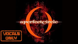 A Perfect Circle  The Hollow  Vocals Only Studio Version [upl. by Amitak674]