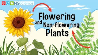 Flowering and Nonflowering Plants [upl. by Bowles]