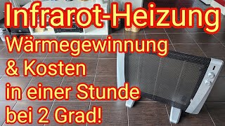 InfrarotHeizung  Kosten in einer Stunde amp Wärmegewinnung bei 2 Grad Raumtemperatur [upl. by Isabel]