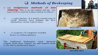 Apiculture Part 2 Methodology Moveable hives Products and tools of beekeeping or Apiculture [upl. by Kreegar]